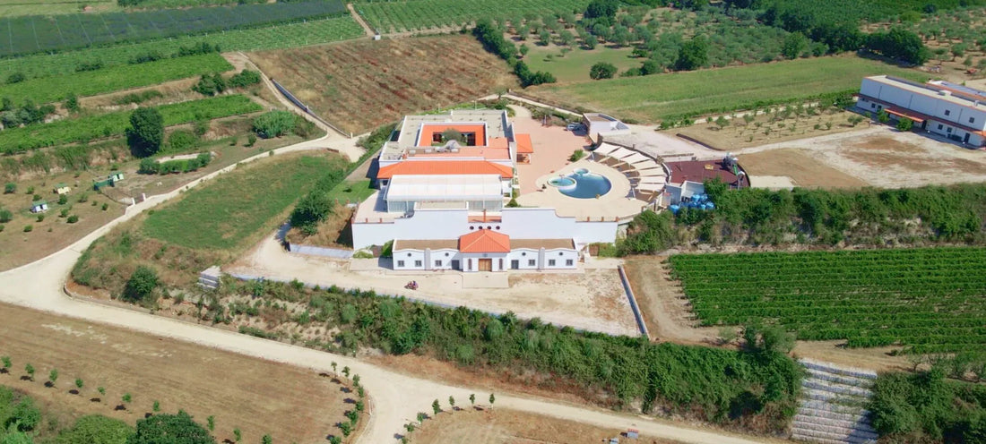 La Masseria di Sessa