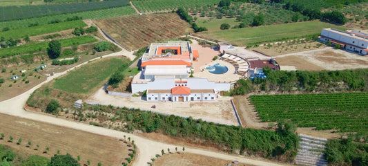 La Masseria di Sessa